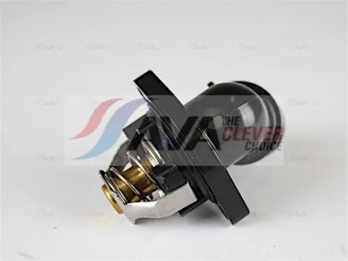 Thermostat, coolant